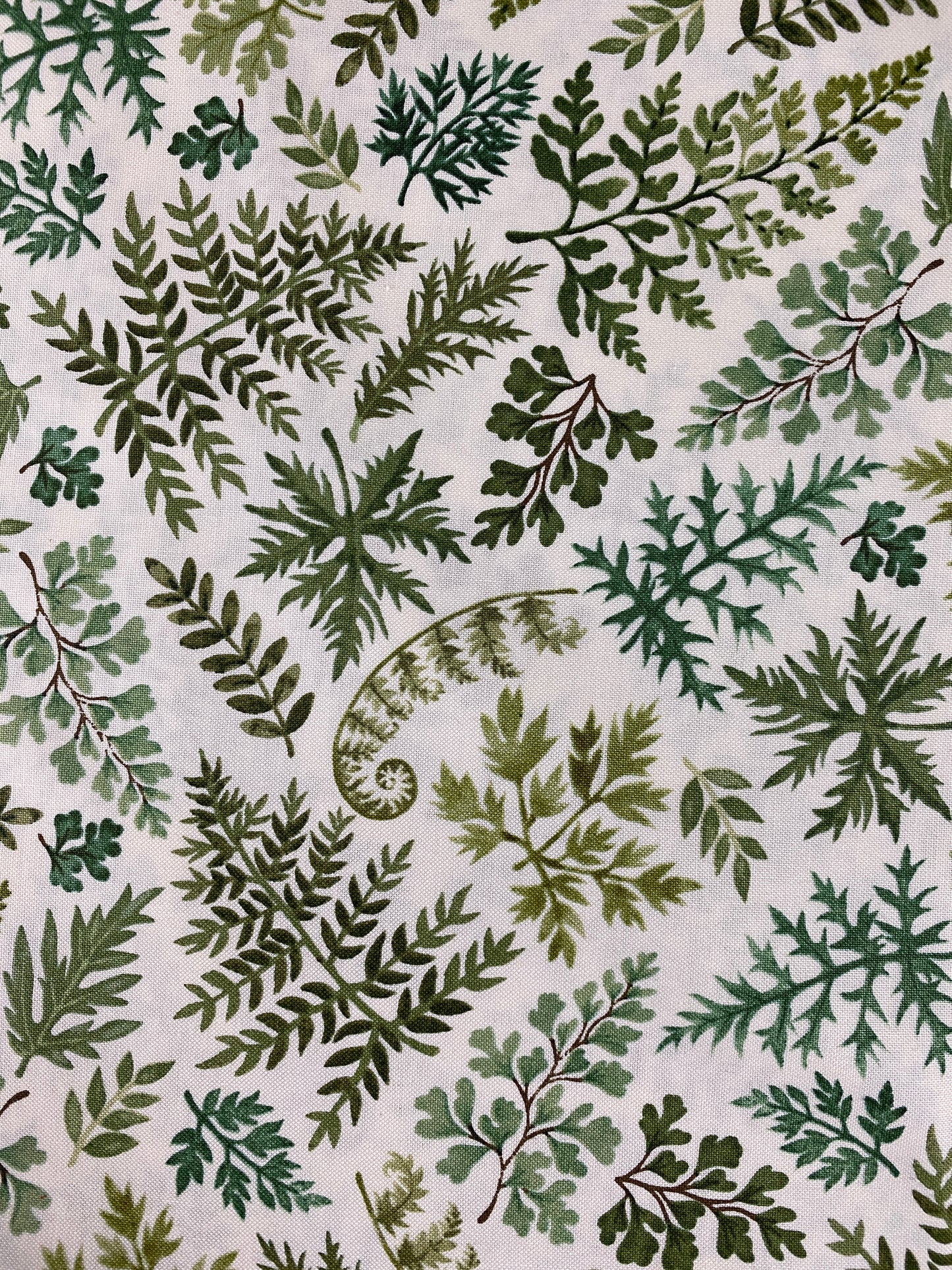 Ferns and Pine Cones Island Hopping Mystery Kit