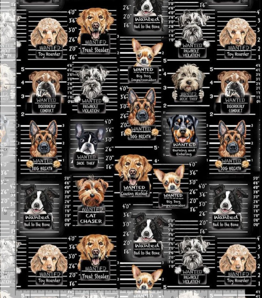 Town Square Quilt Kit - Dog Mug Shots -  How fun!