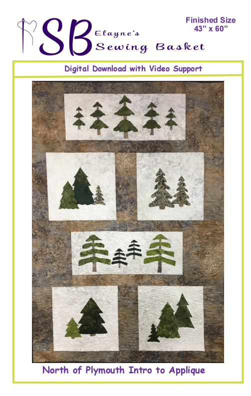 Studio Y Extra - Intro to Machine Applique'