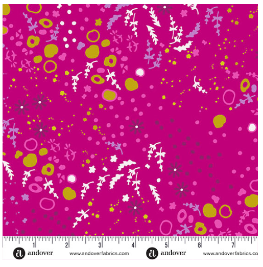 Sun Print Equanimity Cabbage by Allison Glass