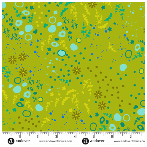 Sun Print Equanimity Toad by Allison Glass