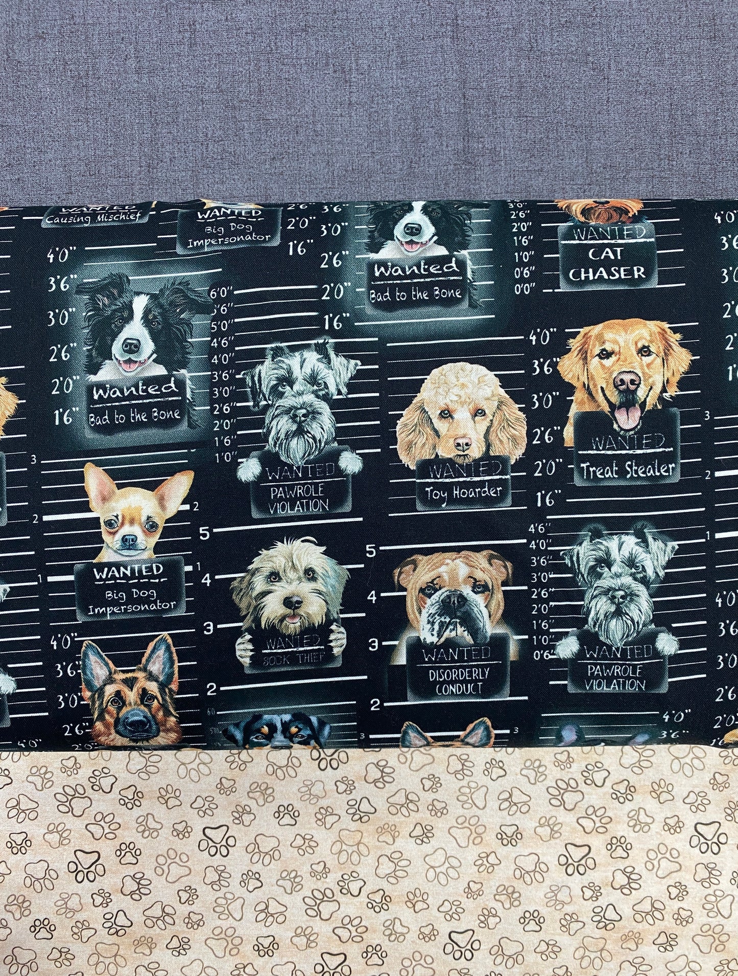 Town Square Quilt Kit - Dog Mug Shots -  How fun!
