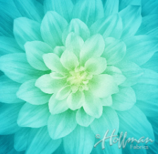 Dream Big Flower Panel